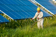 太陽光発電所専門 年間保守除草工事