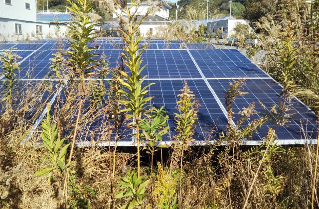 太陽光に関する「雑草対策問題」の解決